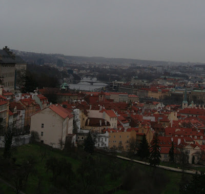 Praga senza glutine - Cardamomo & co