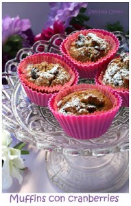 Muffins light con cranberries - Cardamomo & co