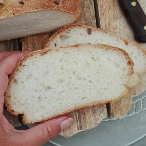 Interno mollica pane senza glutine - Cardamomo & co