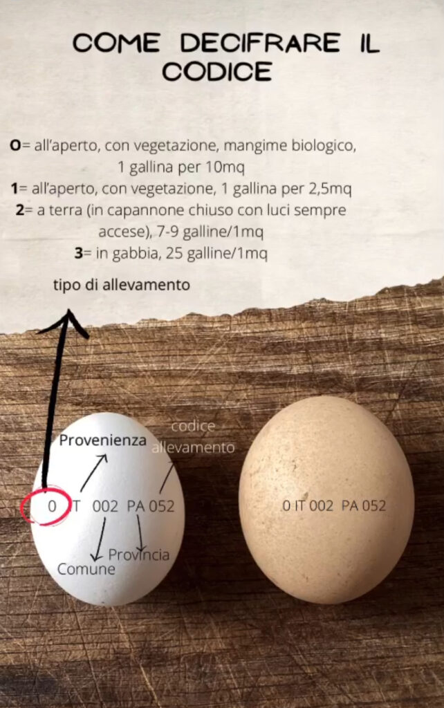 Schema Codice uova - cardamomo & co